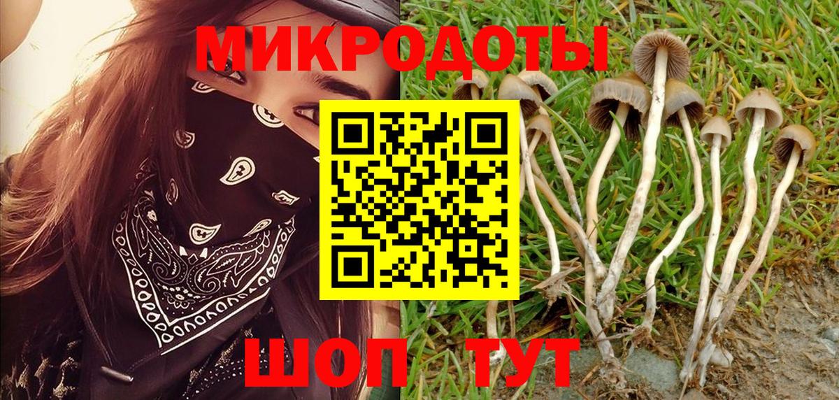 Галлюциногенные грибы Cubensis Скопин